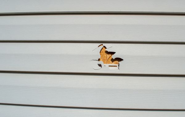 Siding Hole Patching in Smyrna